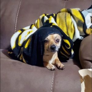 Meet your Posher, Lillian